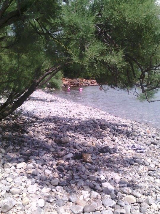 Appartement Apartman Bojana à Starigrad Paklenica Extérieur photo