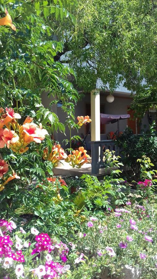 Appartement Apartman Bojana à Starigrad Paklenica Extérieur photo