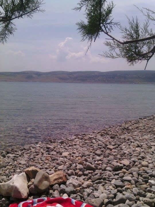 Appartement Apartman Bojana à Starigrad Paklenica Extérieur photo